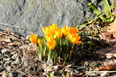 wolfgang-weiser-BslNo8IP93k-unsplash