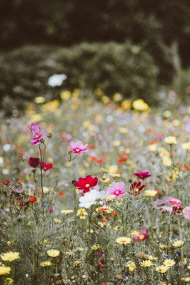 Photo by Annie Spratt on Unsplash