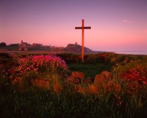 st cuthbert st cuthbert
